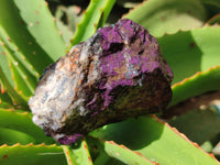 Natural Metallic Purpurite Cobbed Specimens x 6 From Erongo, Namibia