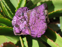 Natural Metallic Purpurite Cobbed Specimens x 6 From Erongo, Namibia