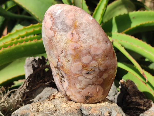 Polished Flower Agate Standing Free Forms x 3 From Antsahalova, Madagascar