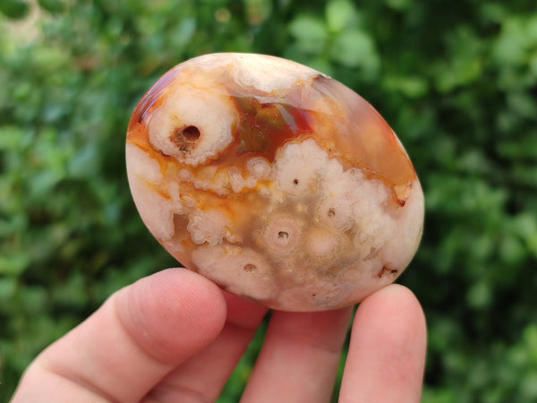 Polished Flower Agate Galet-Palm Stones x 24 From Antsahalova, Madagascar