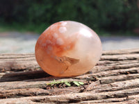 Polished Flower Agate Galet-Palm Stones x 24 From Antsahalova, Madagascar