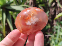 Polished Flower Agate Galet-Palm Stones x 24 From Antsahalova, Madagascar