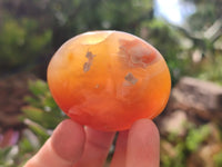 Polished Flower Agate Galet-Palm Stones x 24 From Antsahalova, Madagascar