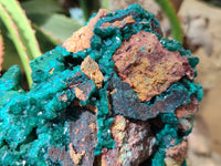 Natural Dioptase Specimen with Pseudomorph Malachite x 1 From Likasi, Congo