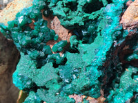 Natural Dioptase Specimen with Pseudomorph Malachite x 1 From Likasi, Congo