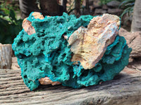 Natural Dioptase Specimen with Pseudomorph Malachite x 1 From Likasi, Congo