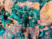 Natural Dioptase Specimen with Pseudomorph Malachite x 1 From Likasi, Congo