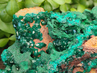 Natural Dioptase Specimen with Pseudomorph Malachite x 1 From Likasi, Congo