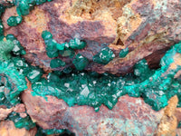 Natural Dioptase Specimen with Pseudomorph Malachite x 1 From Likasi, Congo