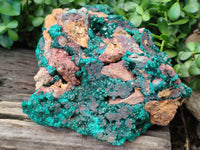 Natural Dioptase Specimen with Pseudomorph Malachite x 1 From Likasi, Congo