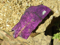 Polished On One Side Metallic Purpurite Specimens x 6 From Namibia