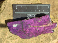 Polished On One Side Metallic Purpurite Specimens x 6 From Namibia