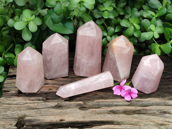 Polished Rose Quartz Points x 6 From Ambatondrazaka, Madagascar