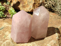 Polished Rose Quartz Points x 6 From Ambatondrazaka, Madagascar