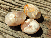 Polished Flower Agate Galet-Palm Stones x 12 From Antsahalova, Madagascar