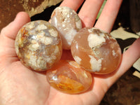 Polished Flower Agate Galet-Palm Stones x 12 From Antsahalova, Madagascar