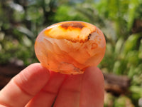 Polished Flower Agate Galet-Palm Stones x 12 From Antsahalova, Madagascar