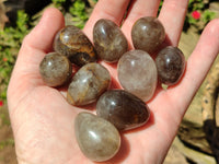 Polished Smokey Quartz Gemstone Eggs x 35 From Madagascar