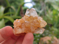 Natural Mini Limonite Quartz Specimens x 35 From Solwezi, Zambia