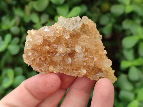 Natural Mini Limonite Quartz Specimens x 35 From Solwezi, Zambia