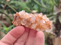 Natural Mini Limonite Quartz Specimens x 35 From Solwezi, Zambia