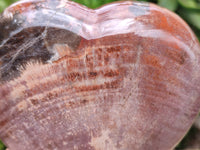 Polished Podocarpus Petrified Wood Hearts x 2 From Mahajanga, Madagascar