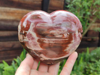 Polished Podocarpus Petrified Wood Hearts x 2 From Mahajanga, Madagascar