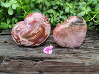 Polished Podocarpus Petrified Wood Hearts x 2 From Mahajanga, Madagascar