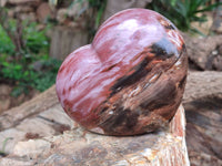 Polished Podocarpus Petrified Wood Hearts x 2 From Mahajanga, Madagascar