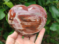 Polished Podocarpus Petrified Wood Hearts x 2 From Mahajanga, Madagascar