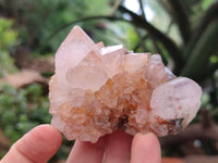 Natural Spirit Quartz Clusters x 6 From Boekenhouthoek, South Africa