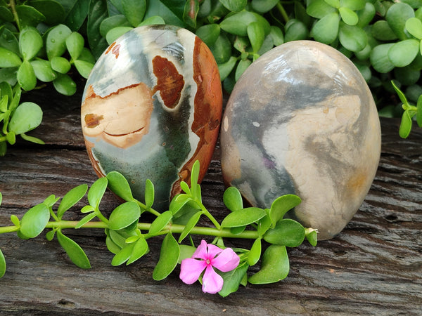 Polished Polychrome Jasper Standing Free Forms x 2 From Mahajanga, Madagascar