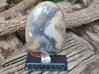 Polished Polychrome Jasper Standing Free Forms x 2 From Mahajanga, Madagascar