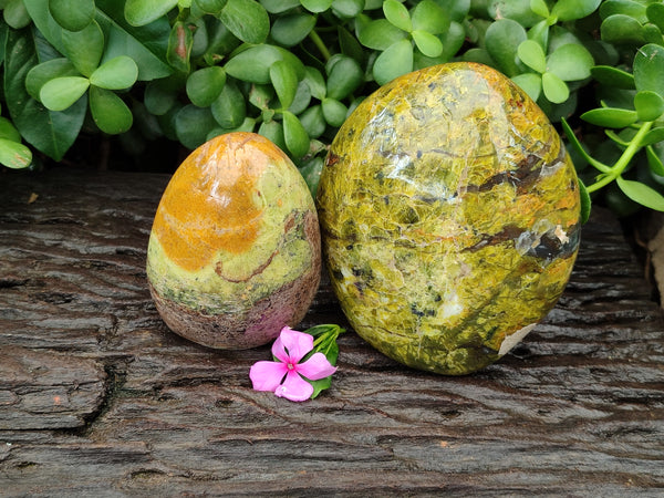 Polished Green Opal Standing Free Forms x 2 From Antsirabe, Madagascar