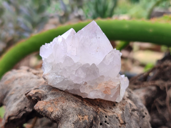 Natural Amethyst Spirit Quartz Clusters x 6 From Boekenhouthoek, South Africa