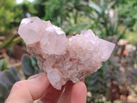 Natural Amethyst Spirit Quartz Clusters x 6 From Boekenhouthoek, South Africa