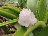 Natural Amethyst Spirit Quartz Clusters x 6 From Boekenhouthoek, South Africa