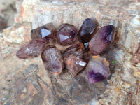 Natural Smokey Window Amethyst Crystals x 70 From Chiredzi, Zimbabwe