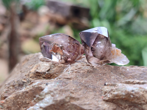 Natural Smokey Window Amethyst Crystals x 70 From Chiredzi, Zimbabwe