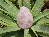 Polished Rose Quartz Standing Free Forms x 4 From Ambatondrazaka, Madagascar