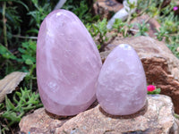 Polished Rose Quartz Standing Free Forms x 4 From Ambatondrazaka, Madagascar