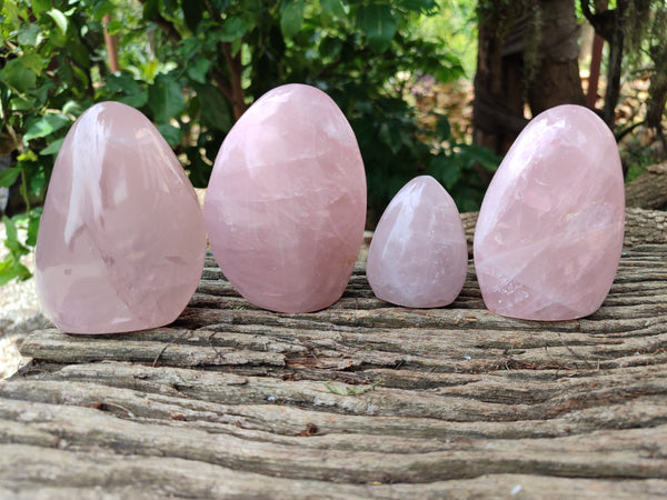 Polished Rose Quartz Standing Free Forms x 4 From Ambatondrazaka, Madagascar