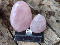 Polished Rose Quartz Standing Free Forms x 4 From Ambatondrazaka, Madagascar