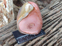 Polished Mix Polychrome Jasper Flames and Standing Free Forms x 4 From Mahajanga, Madagascar