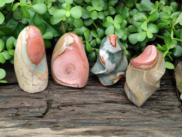 Polished Mix Polychrome Jasper Flames and Standing Free Forms x 4 From Mahajanga, Madagascar