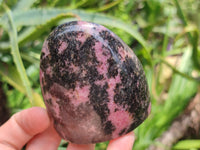 Polished Rhodonite Standing Free Forms x 6 From Ambindavato, Madagascar