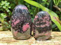 Polished Rhodonite Standing Free Forms x 6 From Ambindavato, Madagascar