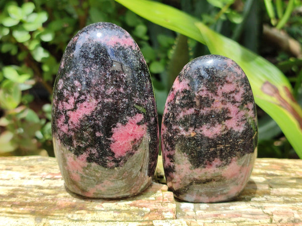 Polished Rhodonite Standing Free Forms x 6 From Ambindavato, Madagascar