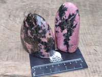 Polished Rhodonite Standing Free Forms x 6 From Ambindavato, Madagascar