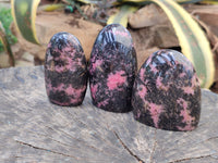 Polished Rhodonite Standing Free Forms x 6 From Ambindavato, Madagascar